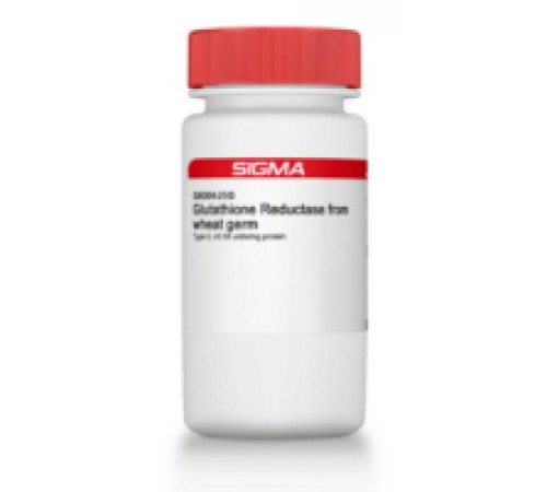 Глутатионредуктаза из зародышей пшеницы типа II, 0,08 мкг / мг белка Sigma G6004